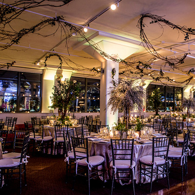 photo: reception setup with tree vines winding around the columns and ceilings